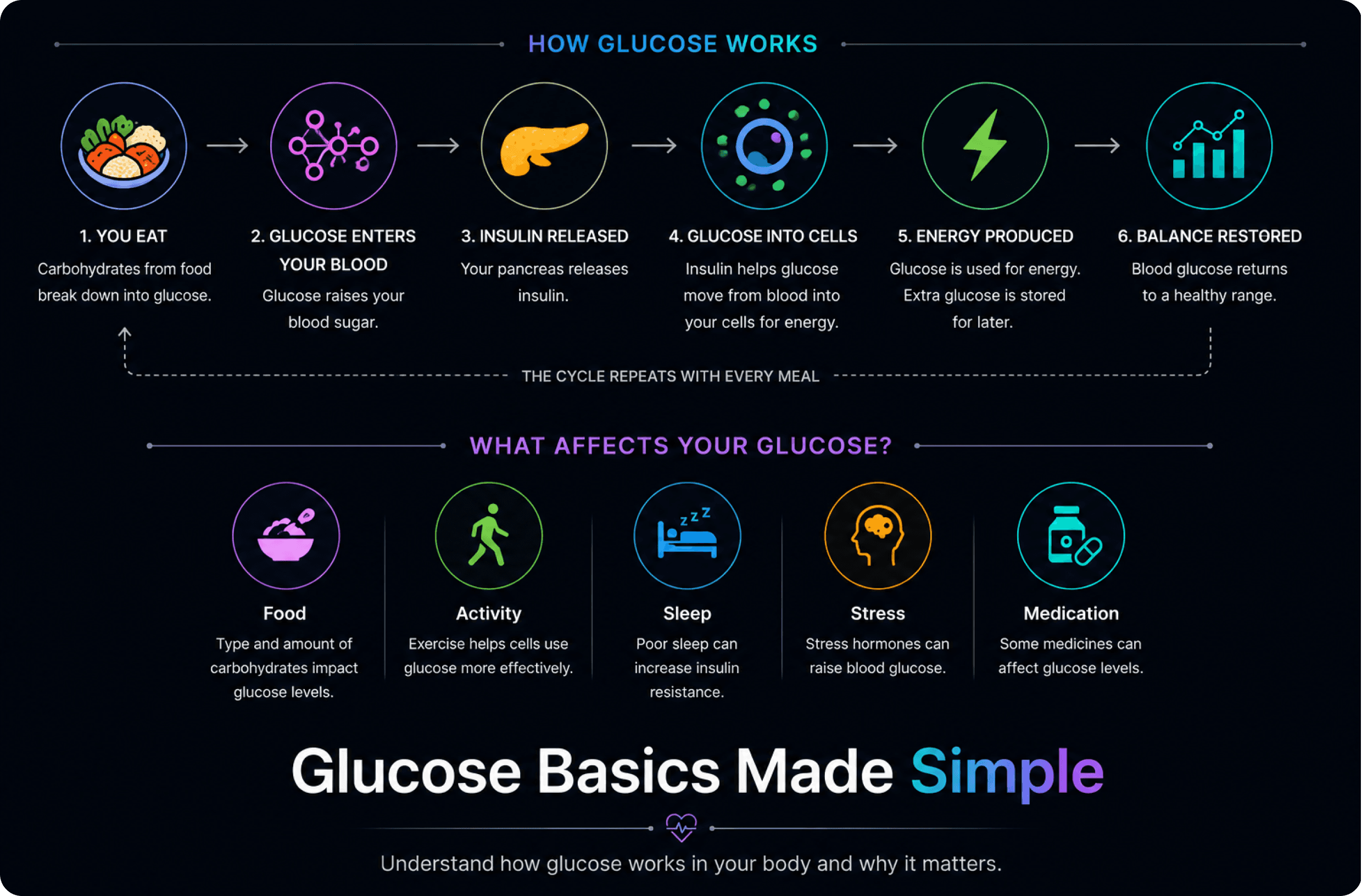 How Glucose Works Infographic